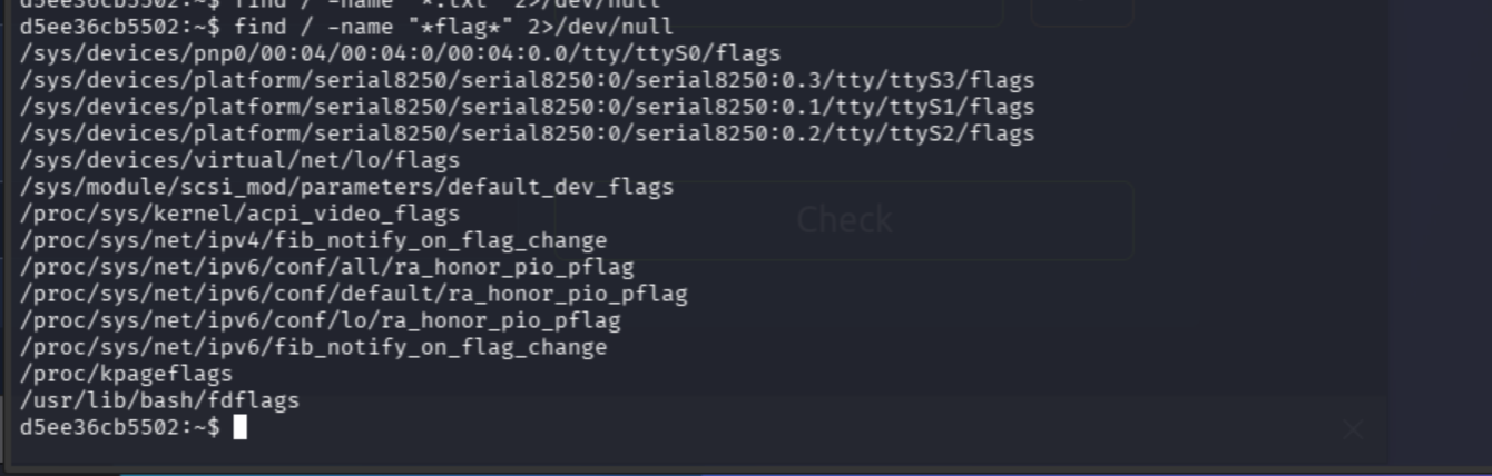 find returning false flag paths